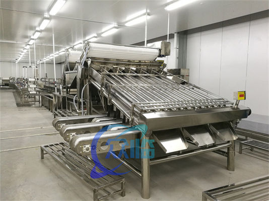 Industrial SUS304 Fish Grading Machine , Multiscene Seafood Sorting Machine