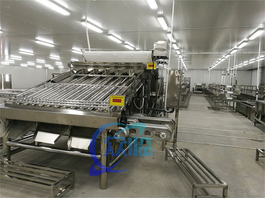 Industrial SUS304 Fish Grading Machine , Multiscene Seafood Sorting Machine