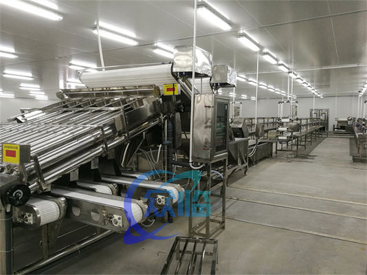 Industrial SUS304 Fish Grading Machine , Multiscene Seafood Sorting Machine