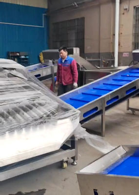 Cheap Fish Automatic Grading Machine, Sorting Other Small Fish With High Stable