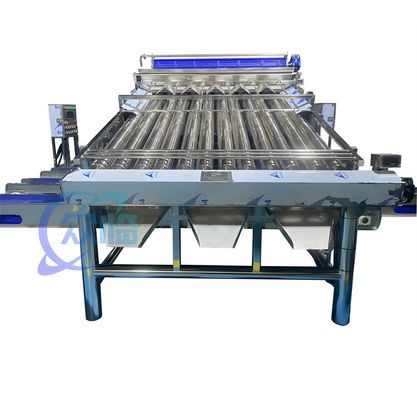 ভালো দাম 4900W SUS304 চিংড়ি গ্রেডিং মেশিন, টেকসই চিংড়ি ওয়াশিং বাছাই মেশিন অনলাইন