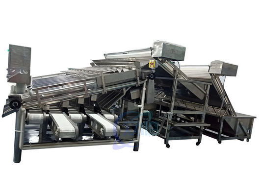 4900W চিংড়ি গ্রেডিং মেশিন রোলার কন্ট্রোল অ্যান্টি-ইরোশন অটোমেটিক