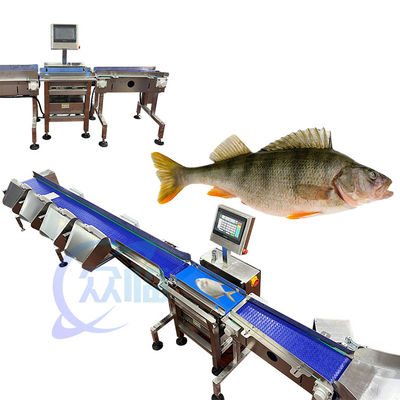 121pcs/min Fish Weight Grader Fish Weighing and Sorting Machine For Aquatic Environment (জলজ পরিবেশের জন্য মাছের ওজন ও শ্রেণীবিভাগকারী মেশিন)
