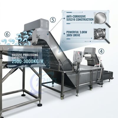 ভালো দাম Heavy Duty Shrimp Deheading Production Line Precision SUS316 1000-1500KG 11.7KW 415V অনলাইন