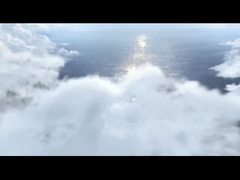 চিংড়ি ডিভাইনার