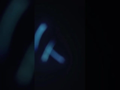 নতুন ডিজাইন চিংড়ি প্রসারিত লাইন, টেম্পুরা প্রসেসিং লাইন, নোবাশি প্রসেসিং